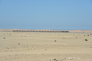 Einsamer Zug in der Wüste